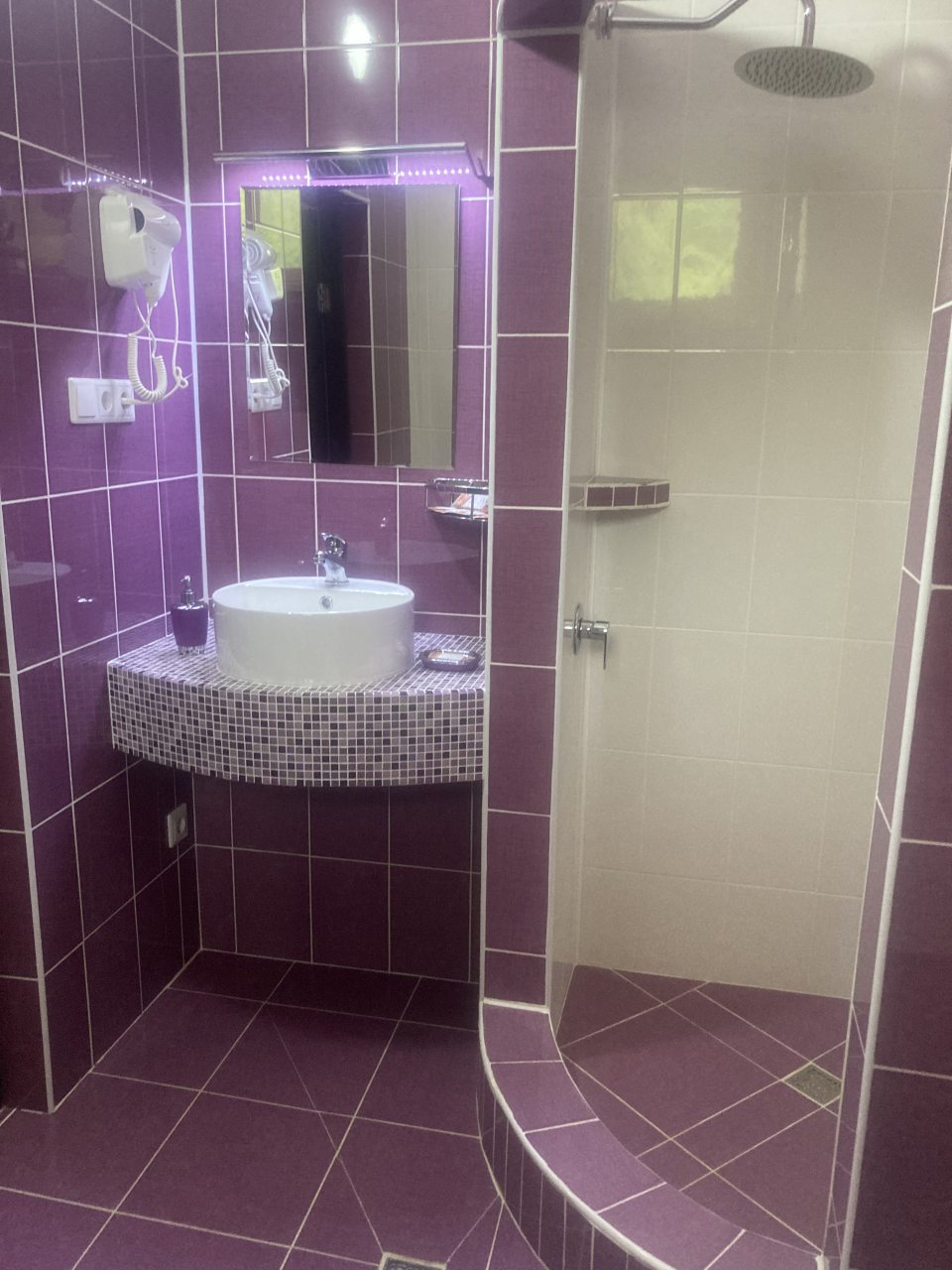 Двухместный (Делюкс с балконом (2 СТУ Б)), Гостиница Диса