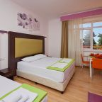 Трехместный (Стандартный номер без балкона (3 СТ ББ)), Гостевой дом Deesa-hotel