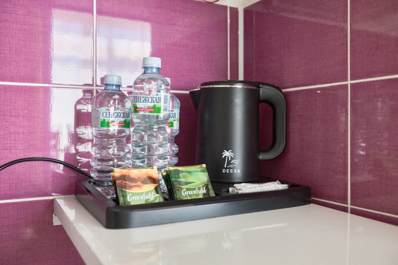 Апартаменты (Пентхауз), Гостиница Диса