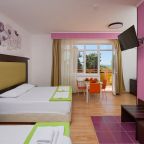 Трехместный (Стандартный номер с балконом), Гостевой дом Deesa-hotel