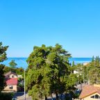 Двухместный (Стандарт ДАБЛ с балконом (2СТ Б ДАБЛ)), Гостиница Диса