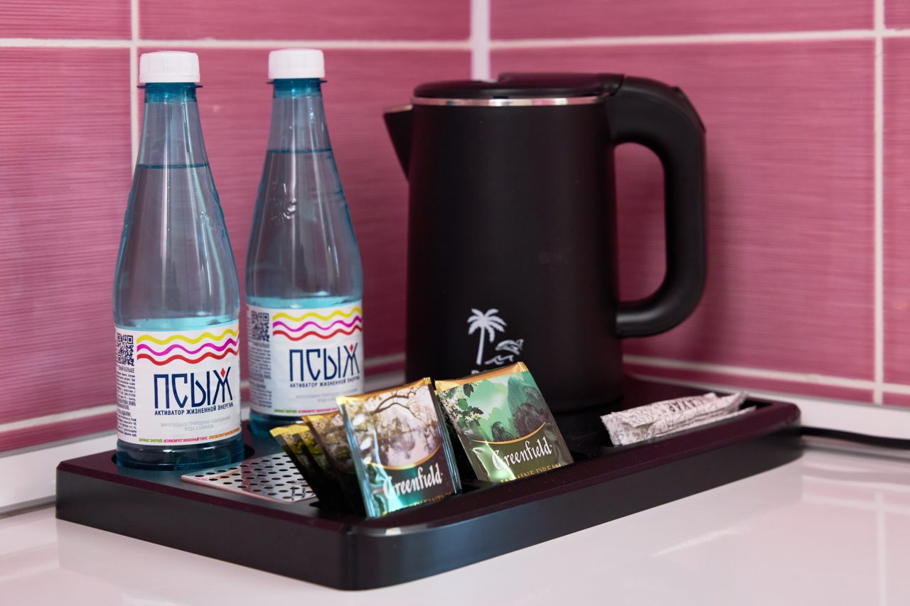 Двухместный (ДАБЛ без балкона (2СТ ББ ДАБЛ)), Гостиница Диса