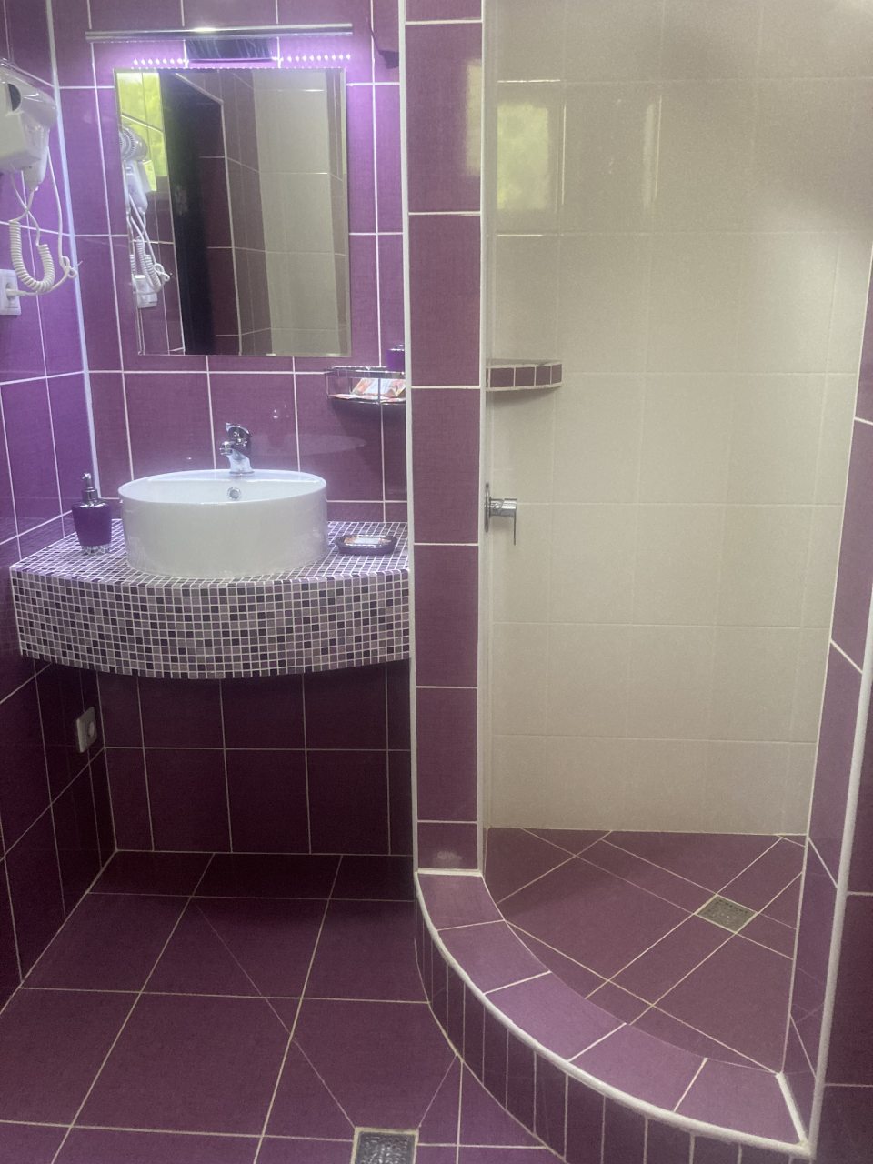 Двухместный (Делюкс без балкона (2СТУ ББ)), Гостиница Диса