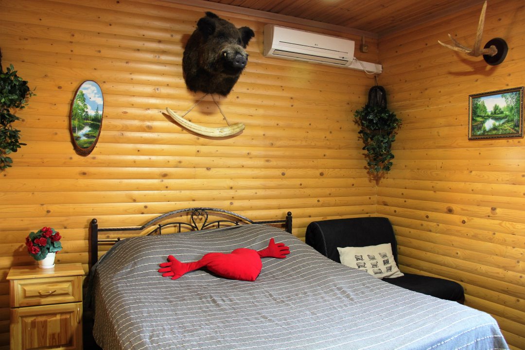 Двухместный (Двухместный номер с 1 кроватью и собственной ванной комнатой) гостиницы Охотничий рай, Тула