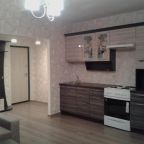 Апартаменты (Апартаменты с видом на озеро), Apartment in Glazynino