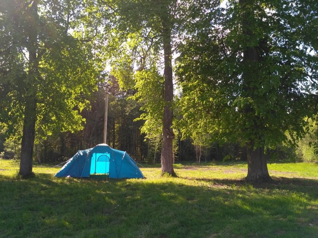 Номер (Шатер), База отдыха Namaste vegetarian camp