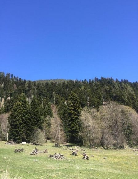 Гостевой дом Denver