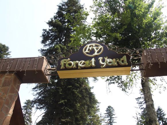 Forest Yard