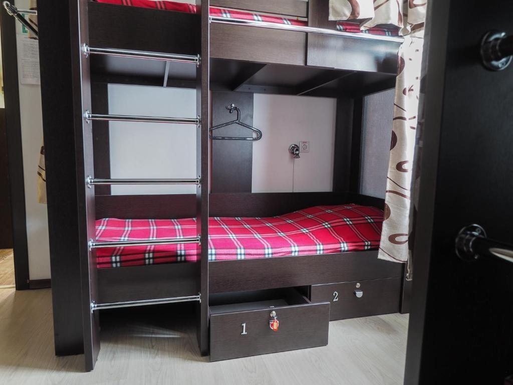 Двенадцатиместный (Спальное место на двухъярусной кровати в общем номере для мужчин и женщин) хостела Красная стрекоза, Саратов