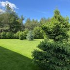 Вид на сад, Forrest Club