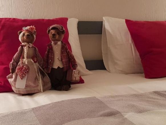 Фотография номера хостела MISHKI INN