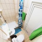 Двухместный (Стандартный двухместный номер с 1 кроватью или 2 отдельными кроватями), Гостевой дом Новое гнездо