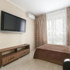 Апартаменты (Апартаменты с 1 спальней), GERBERA APARTMENT Ипподромская