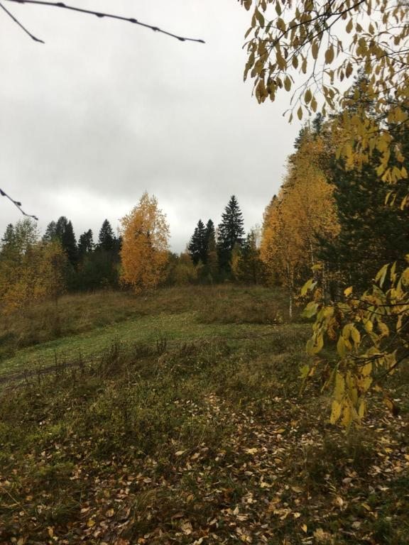 Номер (Дом для отпуска), Отель Дом в Байнево