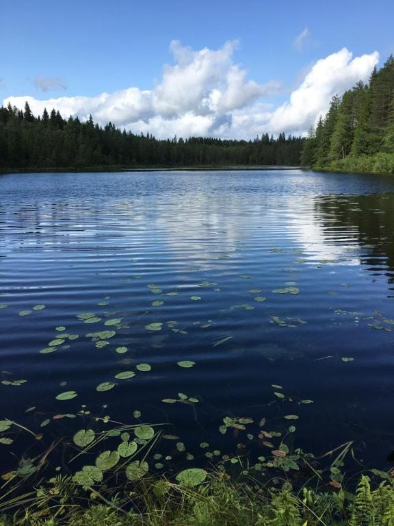 Номер (Дом для отпуска), Отель Дом в Байнево