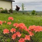 Номер (Дом для отпуска), Дом для отпуска Art House Parle