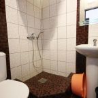 Двухместный (Двухместный номер Делюкс с 1 кроватью и дополнительной кроватью), Отель Аннушка