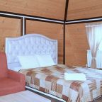 Двухместный (Мансарда с одной большой или двумя раздельными кроватями), Круиз Румянцево