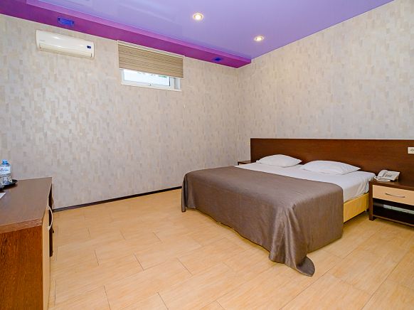 Фотография номера гостиницы Авангард