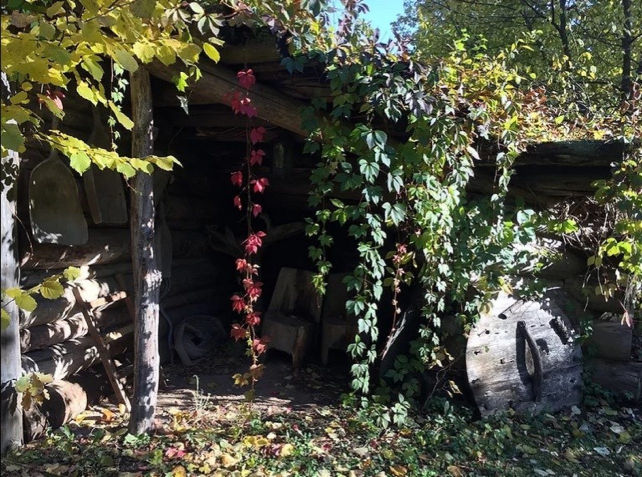 Шале (С одной спальней), Шале Пахта