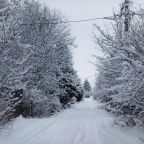 Номер (Дом с 1 спальней), Гостевой дом Весна