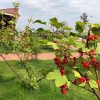 Номер (Дом с 3 спальнями), Загородный клуб Премудрый карась