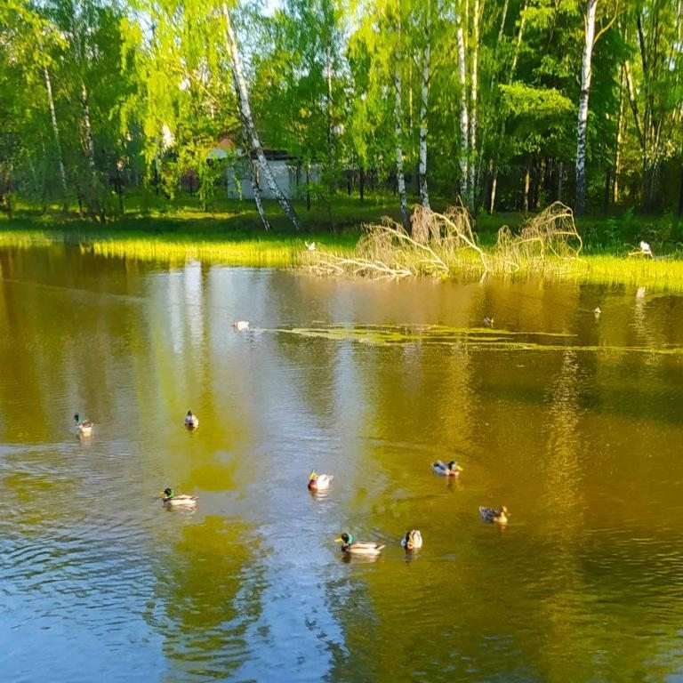 Номер (Дом с 2 спальнями), Домик у Шереметьевского пруда