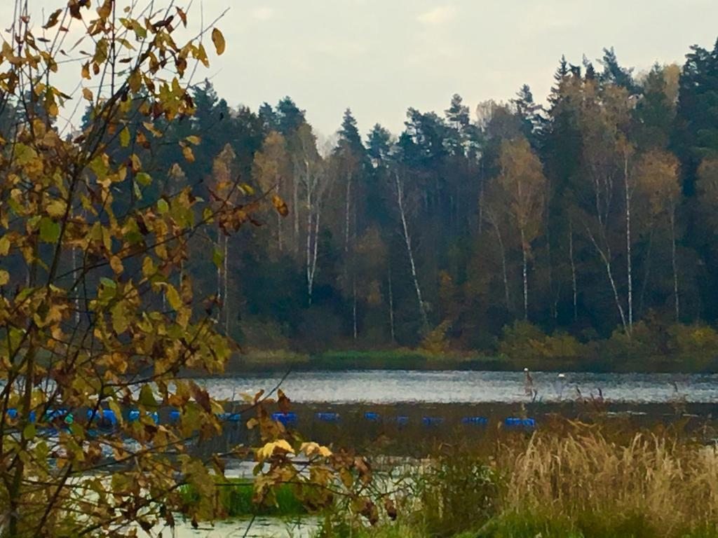 Номер (Дом с 2 спальнями), Отель На Истринском водохранилище