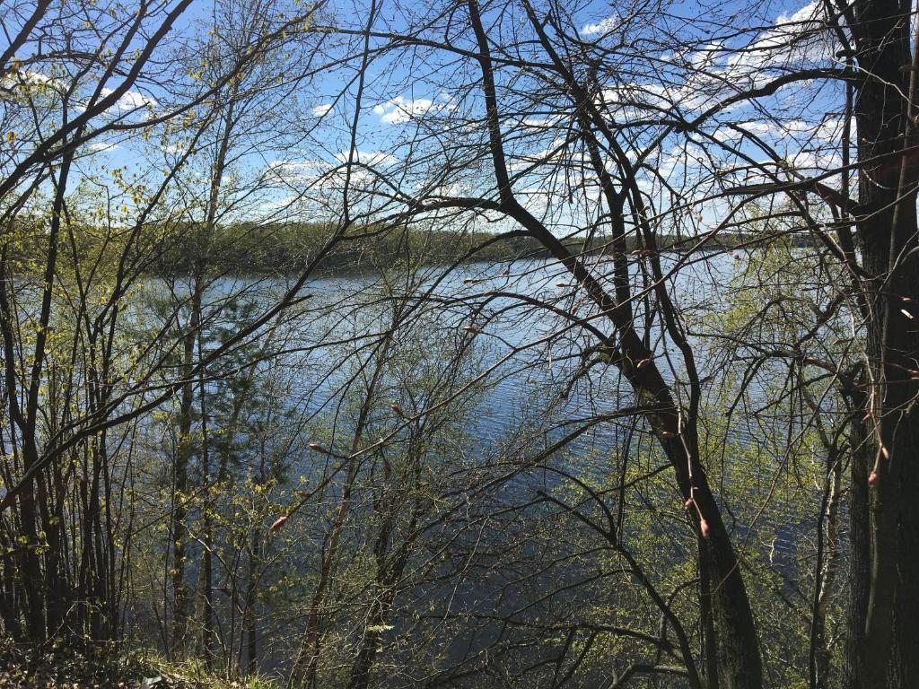 Номер (Дом с 2 спальнями), Отель На Истринском водохранилище