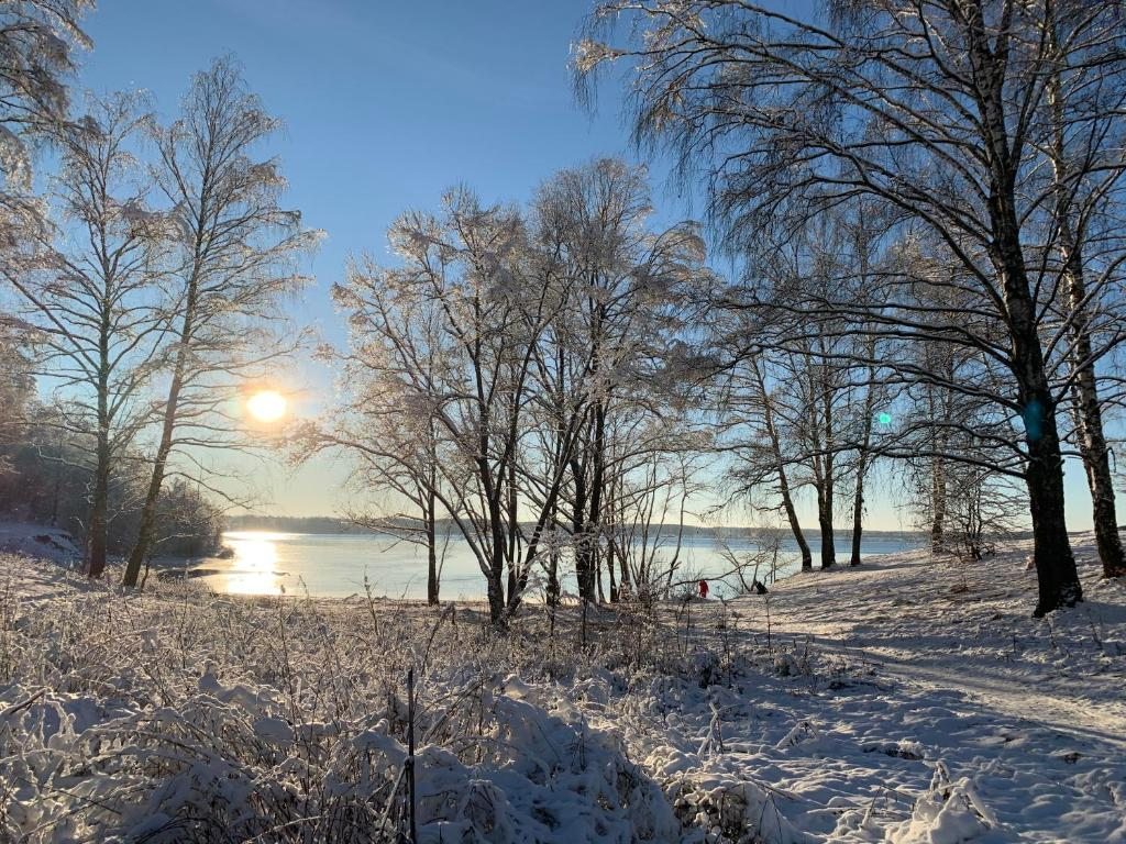 Номер (Дом для отпуска), МОРЕ ДАЧИ