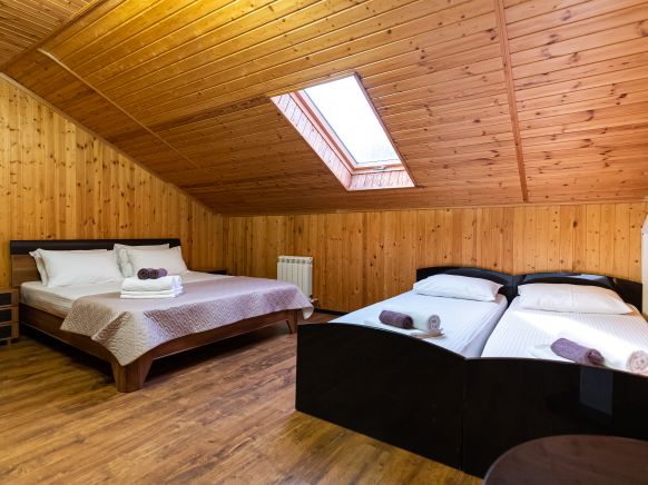 Фотография номера гостиницы Парк-Отель Папайя