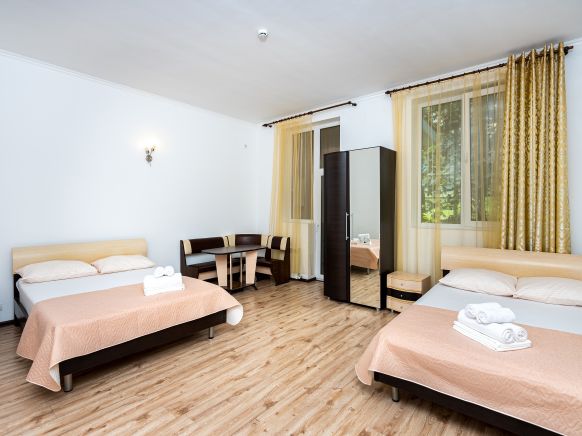 Фотография номера гостиницы Парк-Отель Папайя