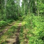 Номер (Дом с 2 спальнями), В Pölläkkälä