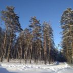 Номер (Бунгало), Дом на пригорке