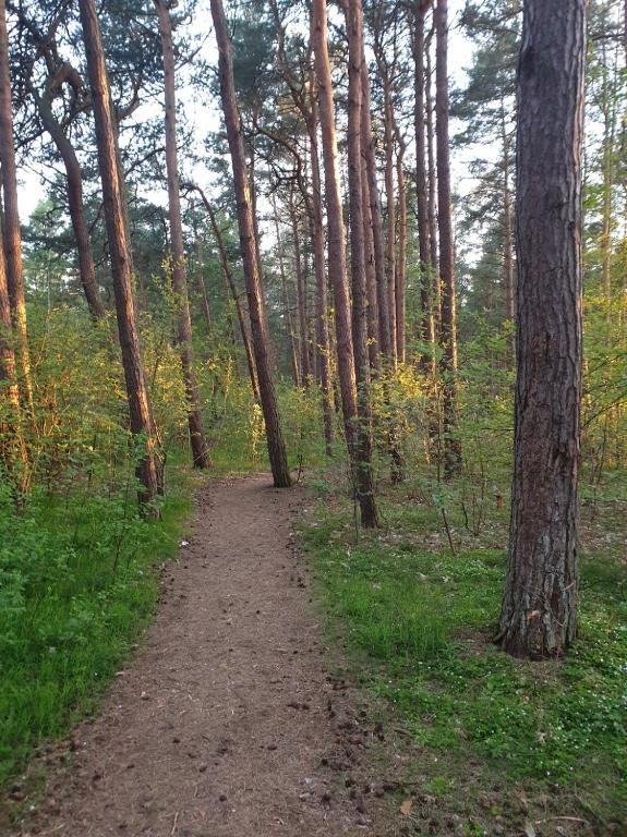 Номер (Дом с 2 спальнями), Гостевой дом Рантау