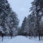 Номер (Дом с 3 спальнями), Гостиница Дом в уникальном природном месте