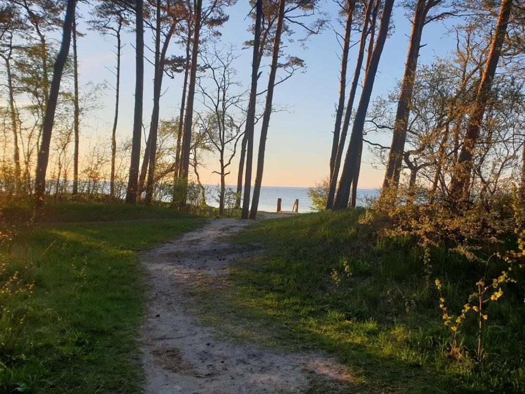 Номер (Дом с 1 спальней), Дом для отпуска Wooden-House near the Sea