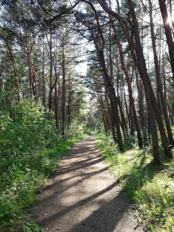 Номер (Дом с 2 спальнями), Дом для отпуска Майя