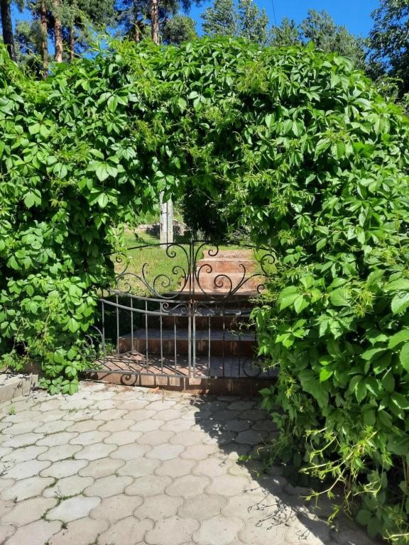 Четырехместный (Четырехместный номер), Загородный отель Усадьба на Парковой 2