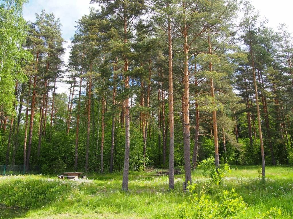 Номер (Дом для отпуска), Гостевой дом Wooden house