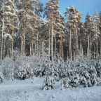 Номер (Дом с 2 спальнями), У полковника