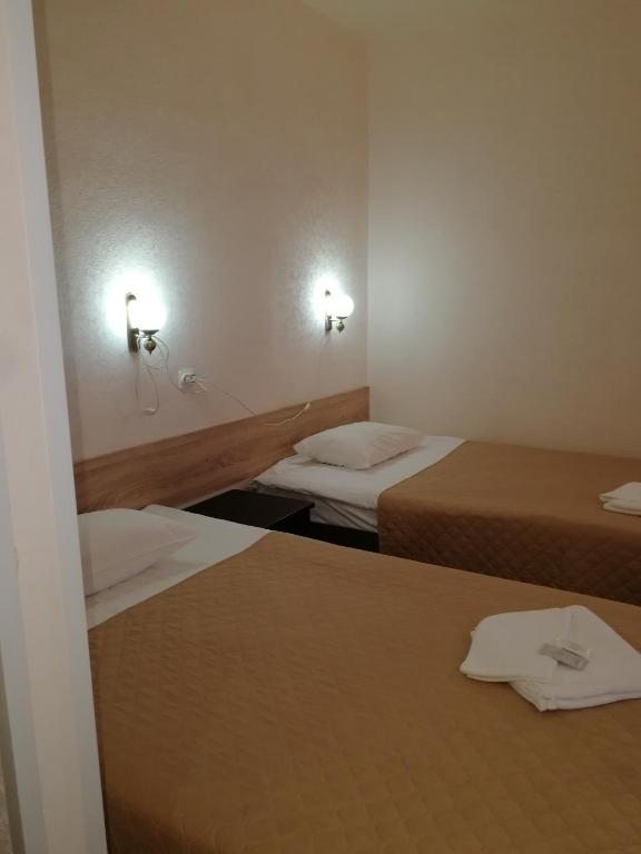Двухместный (Двухместный номер с 2 отдельными кроватями и ванной комнатой) отеля Луга