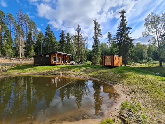 Tammiko дом в лесу у залива, Озерки