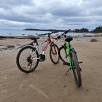 Коттедж (Tammiko Lampi (Лампи)), Tammiko дом в лесу у залива