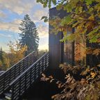 Коттедж (LIME HOUSE), Коттедж Черничный склон