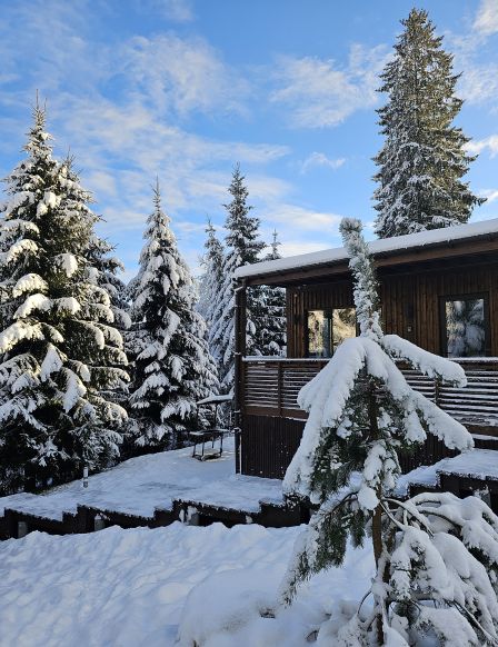 Фотография номера гостевого дома Черничный склон