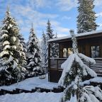 Коттедж (WOOD НОUSE), Коттедж Черничный склон