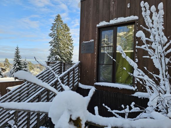 Фотография номера гостевого дома Черничный склон