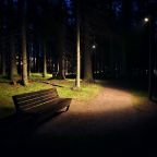 Пешие прогулки, Коттедж Черничный склон