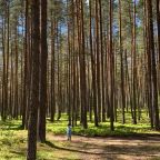 Номер (Дом с 1 спальней), Ежевика. Дома в аренду